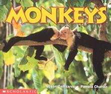 Monkeys cover