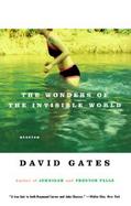 The Wonders of the Invisible World cover