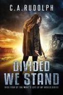 Divided We Stand : Book Four of the What's Left of My World Series cover