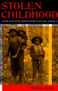 Stolen Childhood: Slave Youth in Nineteenth-Century America cover
