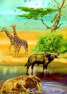 African Animals Notebook cover