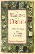 The Making of a Druid Hidden Teachings from the Colloquy of Two Sages cover