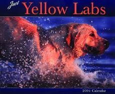 Just Yellow Labs 2004 Calendar cover