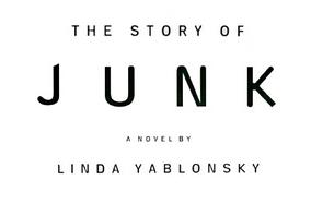 The Story of Junk cover