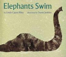 Elephants Swim cover