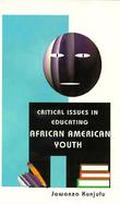 Critical Issues in Educating African American Youth cover