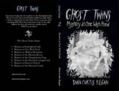 Ghost Twins : Mystery of One Wish Pond cover