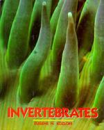 Invertebrates cover