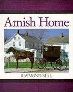 Amish Home cover