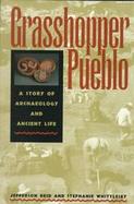Grasshopper Pueblo A Story of Archaeology and Ancient Life cover