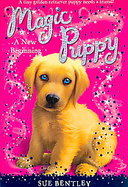 A New Beginning cover