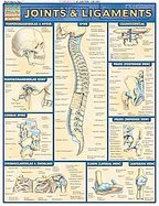 Joints & Ligaments Laminated Reference Guide cover