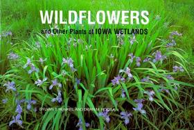 Wildflowers and Other Plants of Iowa Wetlands cover