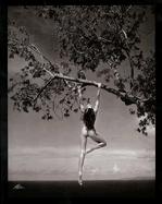 Patrick Demarchelier, Photographs cover