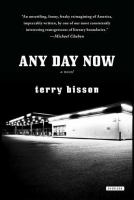 Any Day Now : A Novel cover