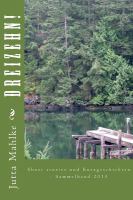 Dreizehn! : Short Stories und Kurzgeschichten - Sammelband 2013 cover