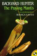 Backyard Hunter: The Praying Mantis cover