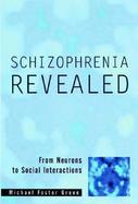 Schizophrenia Revealed From Neurons to Social Interactions cover