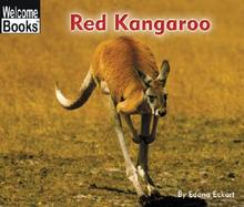 Red Kangaroo cover