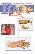 An Illustrated Dissection Guide To The Rat cover