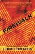 Firewalk : A Novel cover