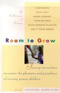 Room to Grow: Twenty-Two Writers Encounter the Pleasures and Paradoxes of Raising Young Children cover