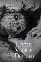 Little Visible Delight cover