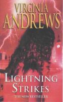 Lightning Strikes (Hudson Family, Book 2) cover