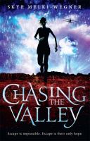 Chasing the Valley cover