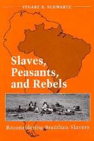 Slaves, Peasants, and Rebels: Reconsidering Brazilian Slavery cover