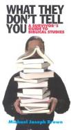 What They Don't Tell You, Second Edition : A Survivor's Guide to Biblical Studies cover
