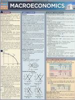 Macroeconomics Laminated Reference Guide cover
