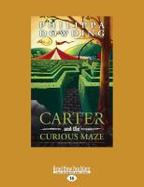 Carter and the Curious Maze : Weird Stories Gone Wrong cover