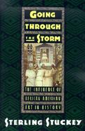 Going Through the Storm The Influence of African American Art in History cover