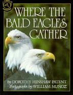 Where the Bald Eagles Gather cover