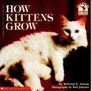 How Kittens Grow cover