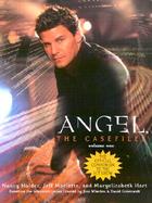 Angel The Casefiles (volume1) cover