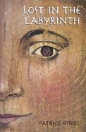 Lost in the Labyrinth A Novel cover