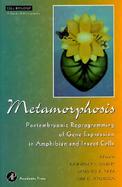 Metamorphosis Postembryonic Reprogramming of Gene Expression in Amphibian and Insect Cells cover