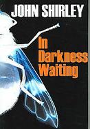 In Darkness Waiting cover