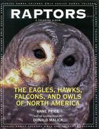 Raptors The Eagles, Hawks, Falcons, and Owls of North America cover