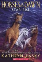 Star Rise cover