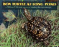 Box Turtle at Long Pond cover