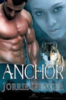 Anchor cover