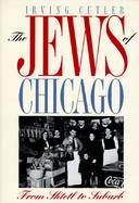 The Jews of Chicago From Shtetl to Suburb cover