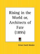 Rising in the World Or, Architects of Fate1895 cover