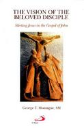 The Vision of the Beloved Disciple Meeting Jesus in the Gospel of John cover