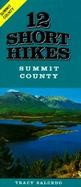 Summit County cover