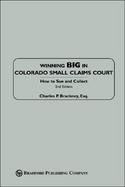 Winning Big in Colorado Small Claims Court How to Sue and Collect cover