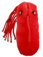 GiantMicrobes-Typhoid Fever cover